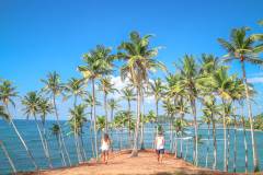 image-slider-with-thumbnail7.jpeg